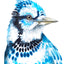 Blue Jay