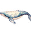 Whale