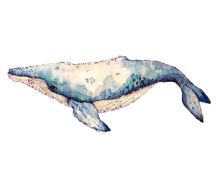 Whale