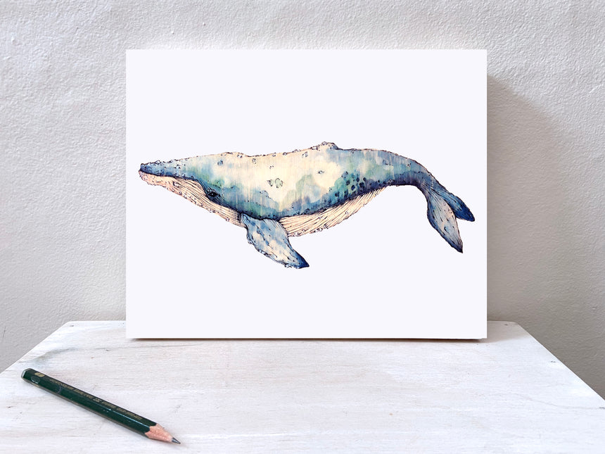 Whale