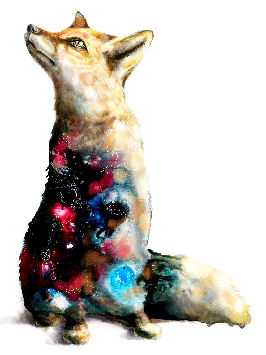 Galaxy Fox